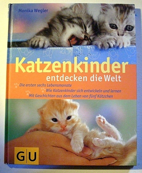 Katzenkinder entdecken die Welt von Monika Wegler